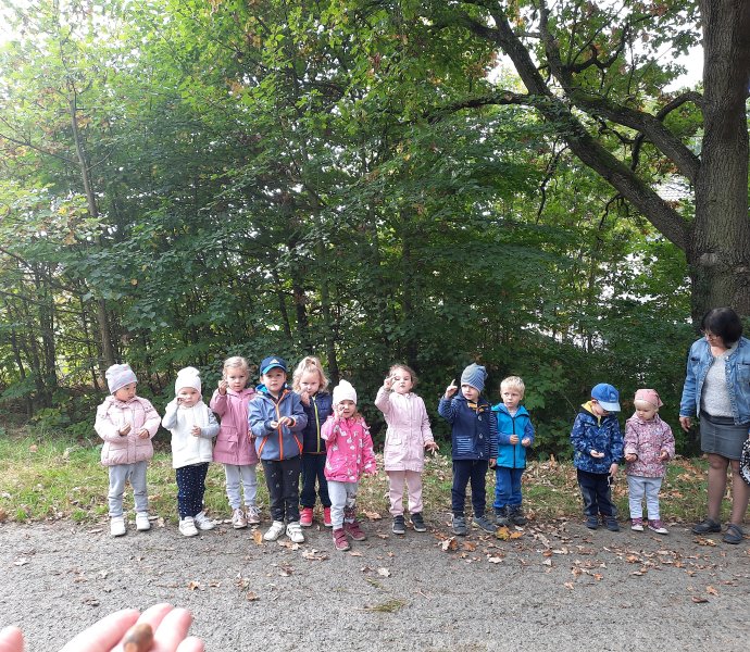 Obrázek galerie  7885