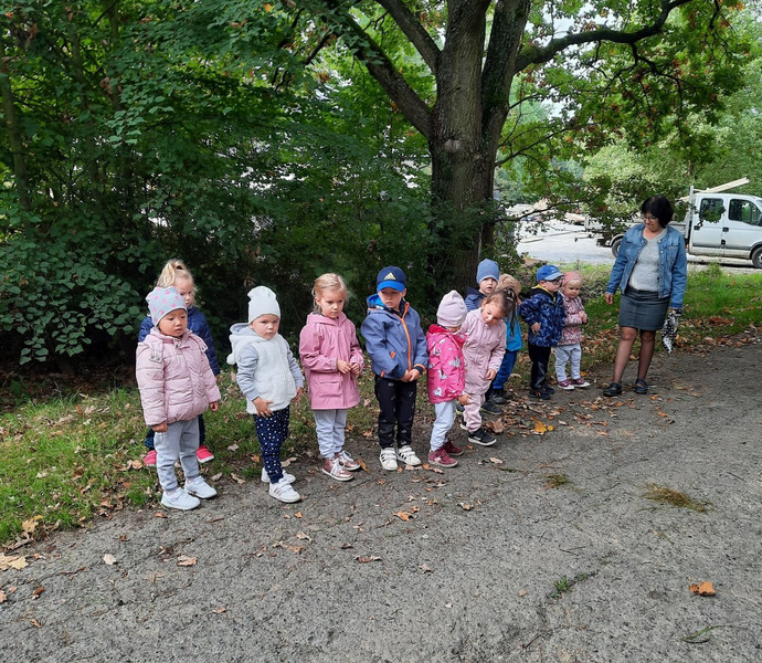 Obrázek galerie  7886