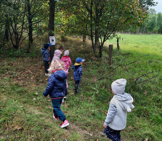 Obrázek galerie  7888