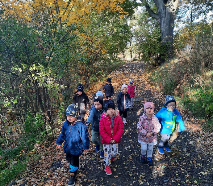 Obrázek galerie  8036