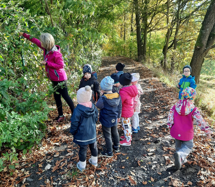 Obrázek galerie  8038