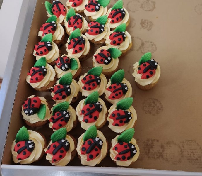 Obrázek galerie  8228