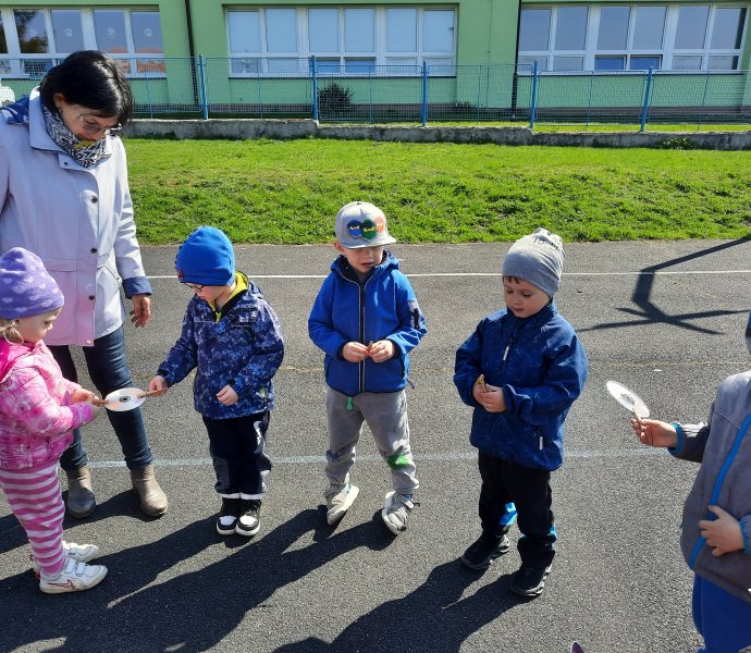 Obrázek galerie  11275