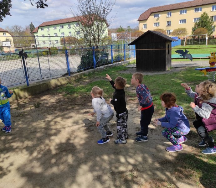 Obrázek galerie  10496