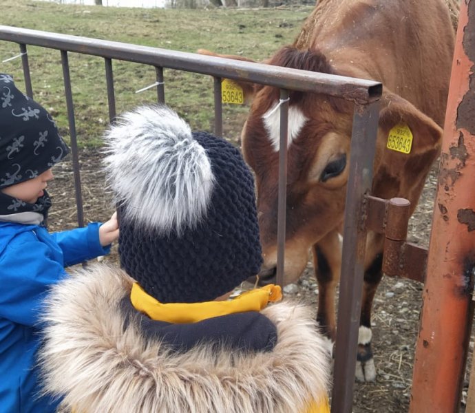 Obrázek galerie  10658