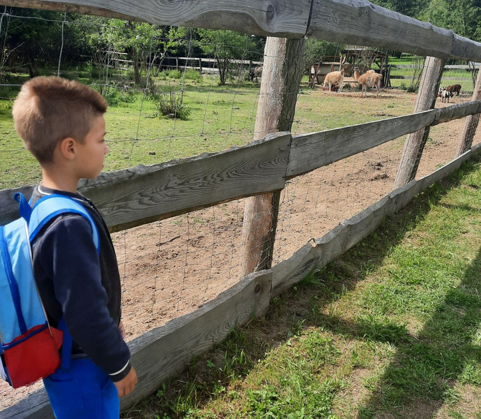 Obrázek galerie  10778