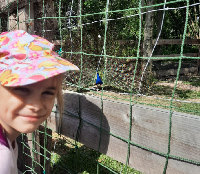 Obrázek galerie  10797