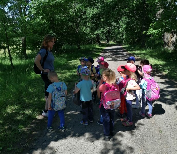 Obrázek galerie  11126