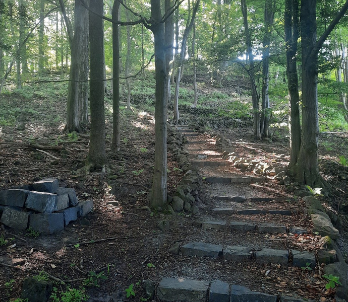 Obrázek galerie  11207