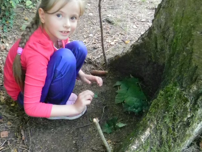 Obrázek galerie  982