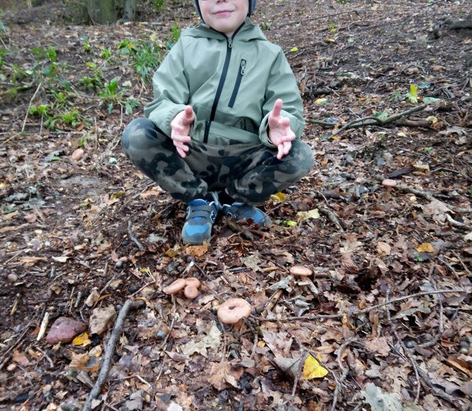 Obrázek galerie  12211