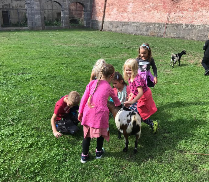 Obrázek galerie  12212