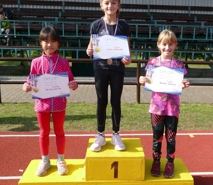 Obrázek galerie  12610