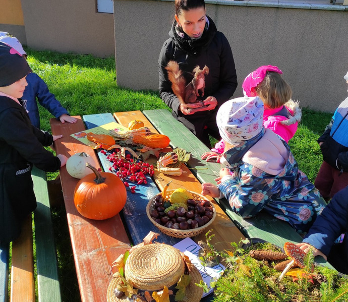 Obrázek galerie  12657