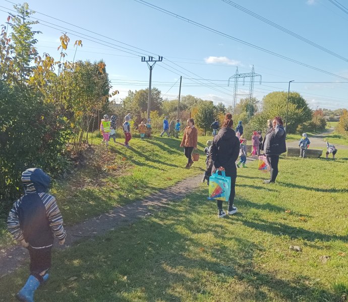 Obrázek galerie  12665