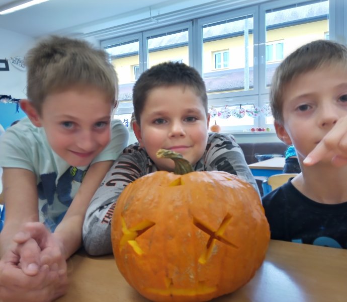 Obrázek galerie  12779