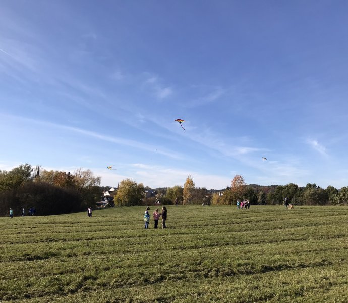 Obrázek galerie  12847