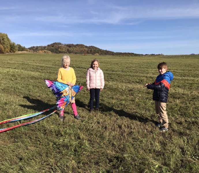 Obrázek galerie  12879