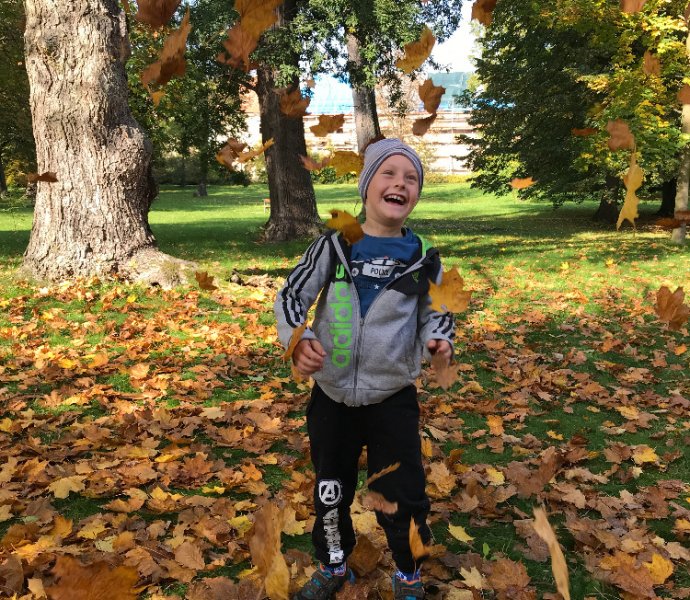 Obrázek galerie  12849