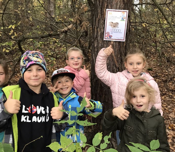 Obrázek galerie  12899