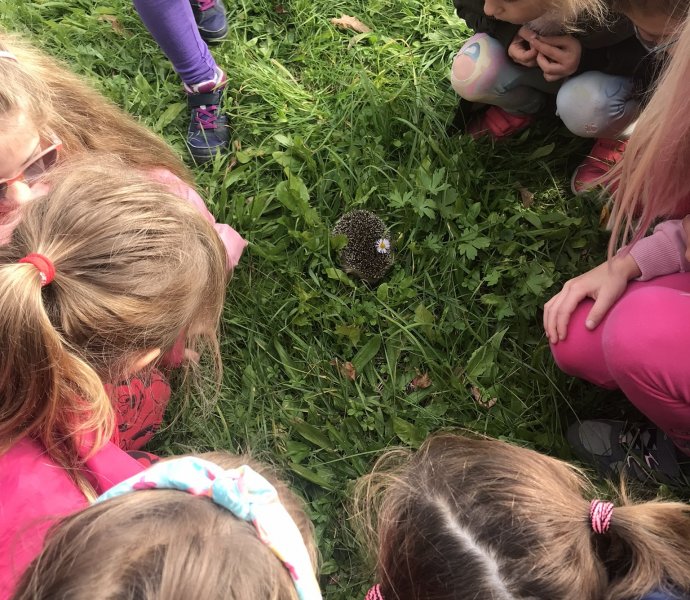 Obrázek galerie  12904