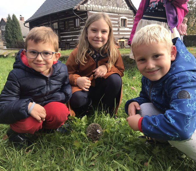 Obrázek galerie  12911