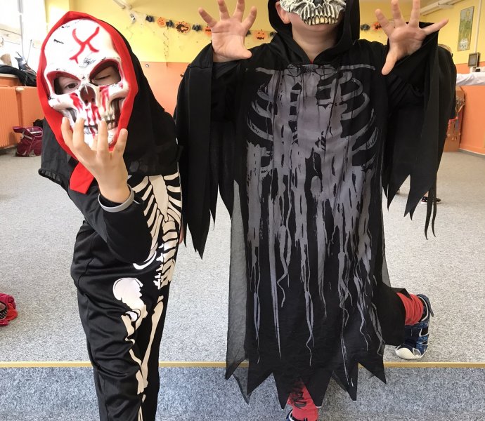 Obrázek galerie  12931