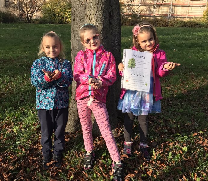 Obrázek galerie  13060