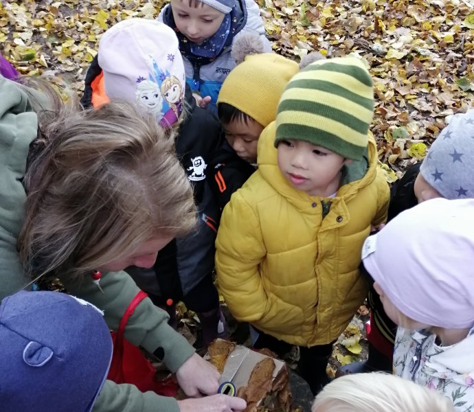 Obrázek galerie  13505