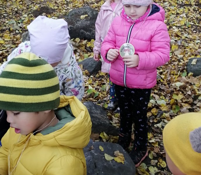 Obrázek galerie  13509