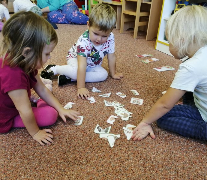 Obrázek galerie  13518