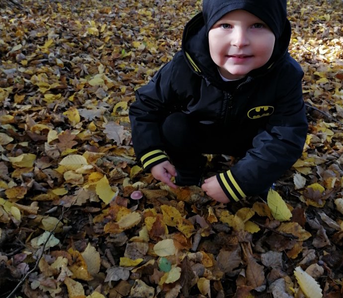 Obrázek galerie  13519