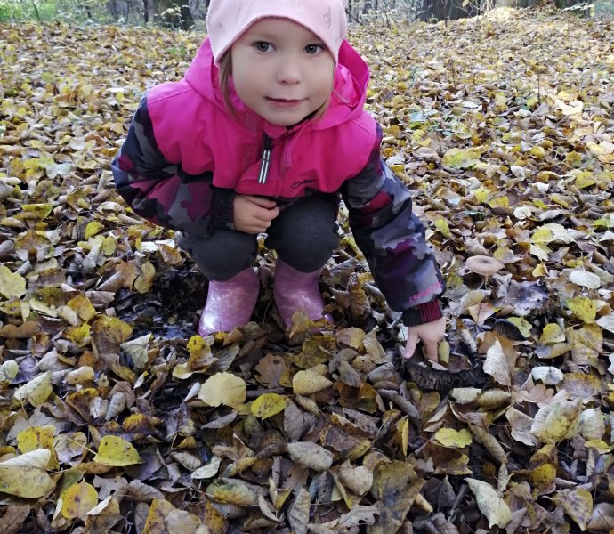 Obrázek galerie  13520