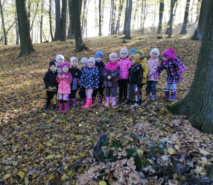 Obrázek galerie  13524