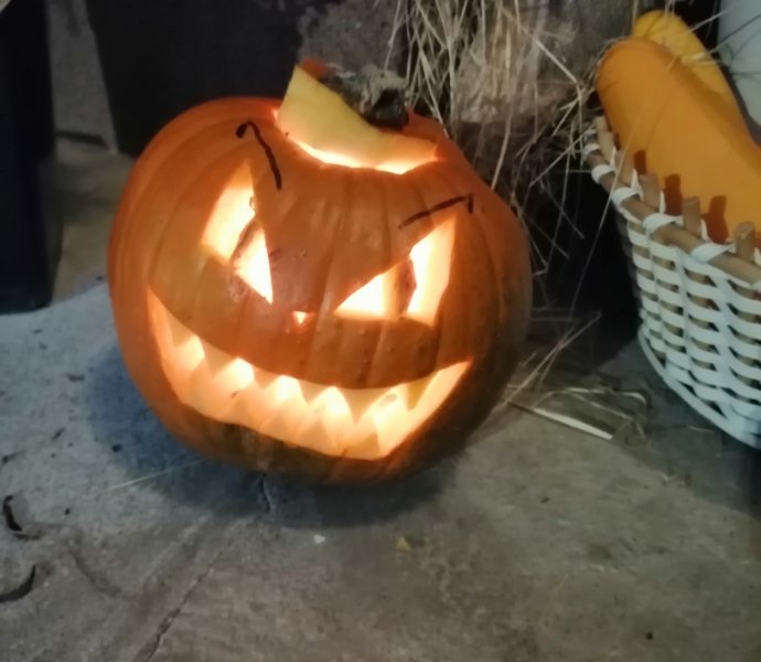 Obrázek galerie  13691