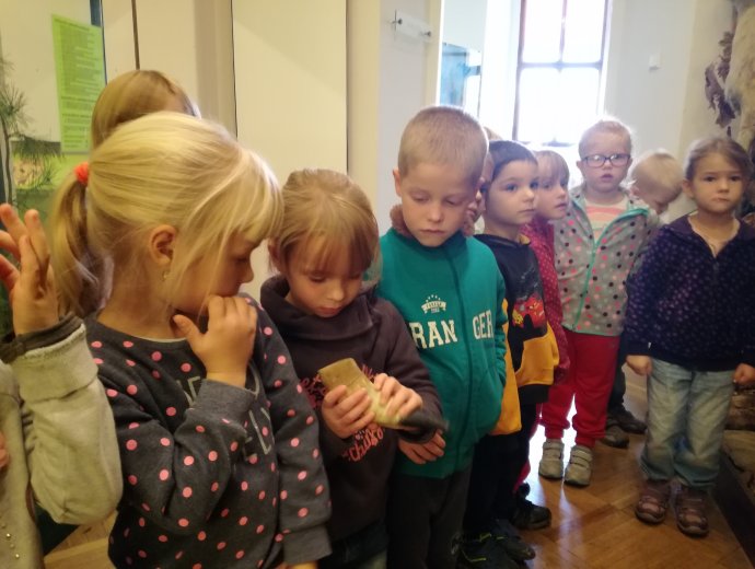 Obrázek galerie  1254