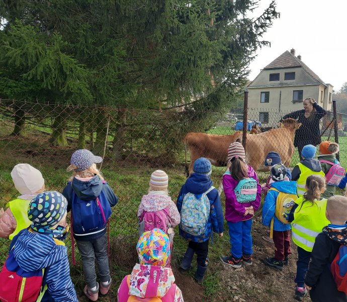 Obrázek galerie  14369