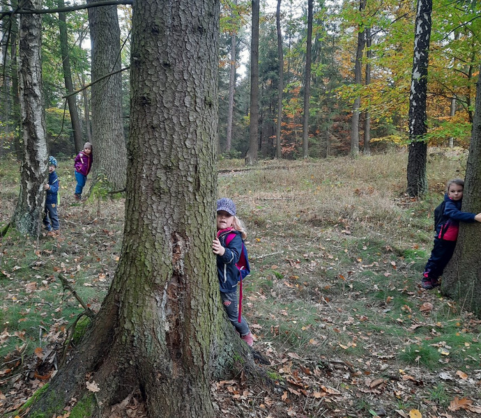 Obrázek galerie  14378