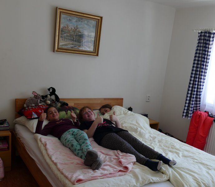 Obrázek galerie  15432