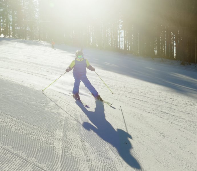 Obrázek galerie  15482