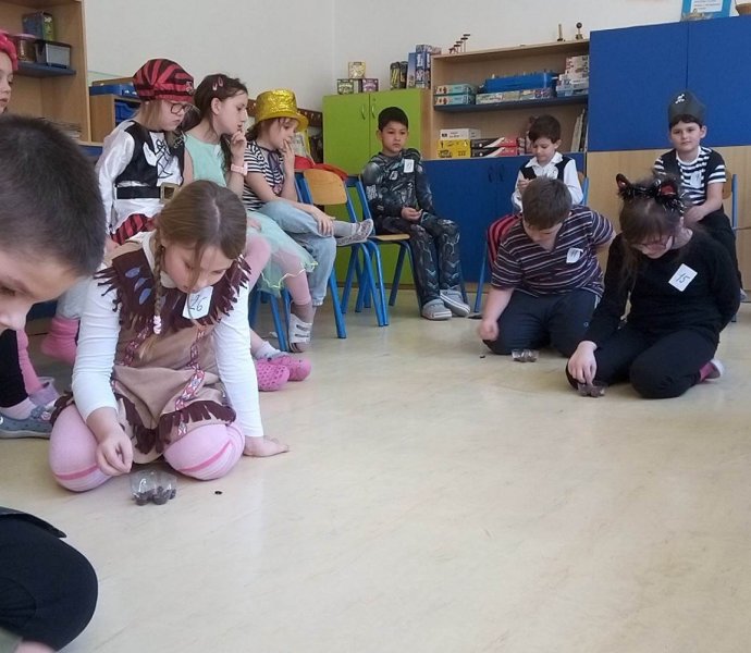 Obrázek galerie  15547