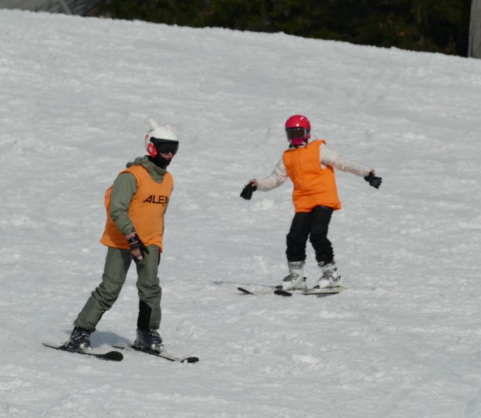 Obrázek galerie  15946