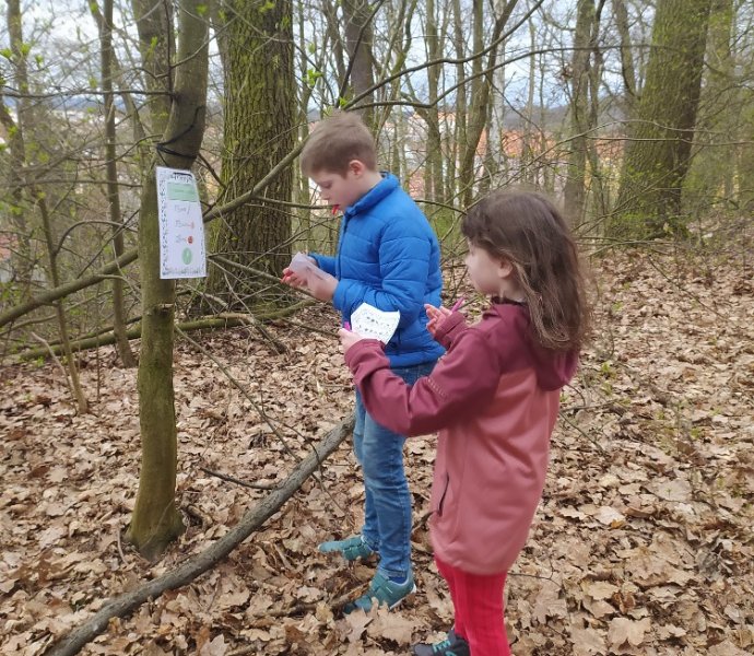 Obrázek galerie  16057