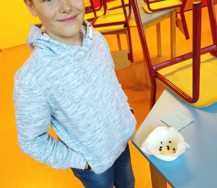 Obrázek galerie  16196