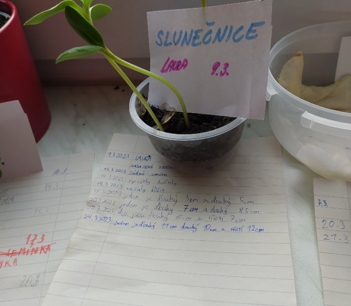 Obrázek galerie  16204