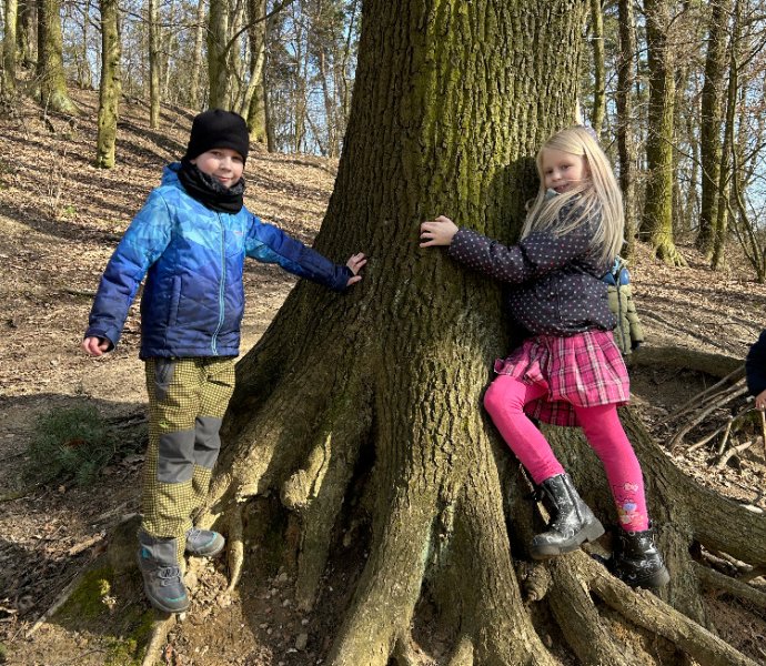 Obrázek galerie  16488