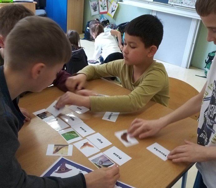 Obrázek galerie  16697