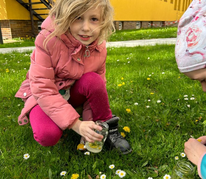 Obrázek galerie  16850