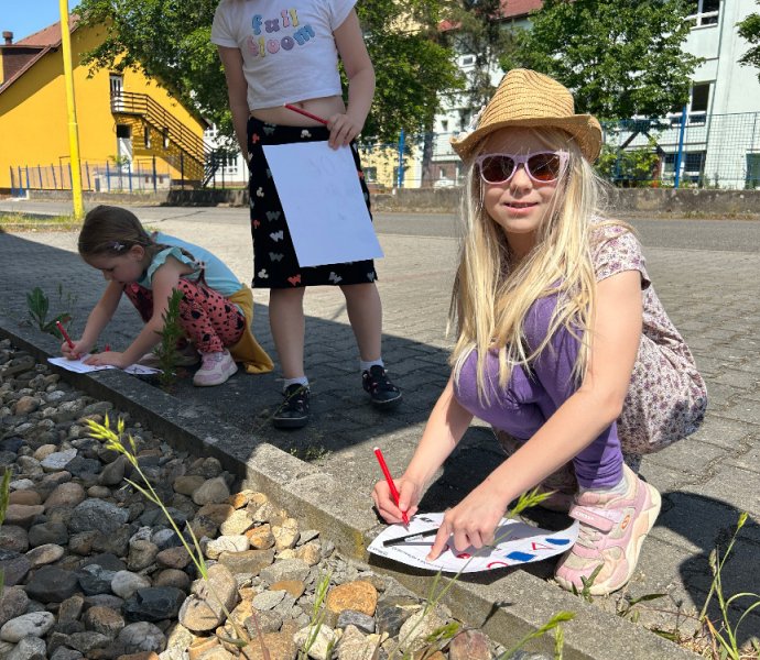 Obrázek galerie  18207