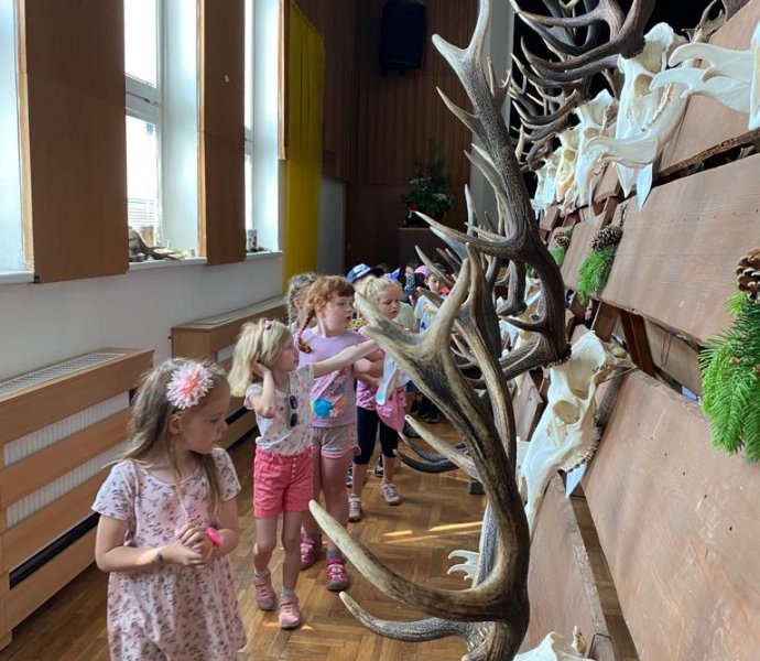 Obrázek galerie  18732